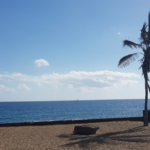 Less than 2 minutes from this glorious beach